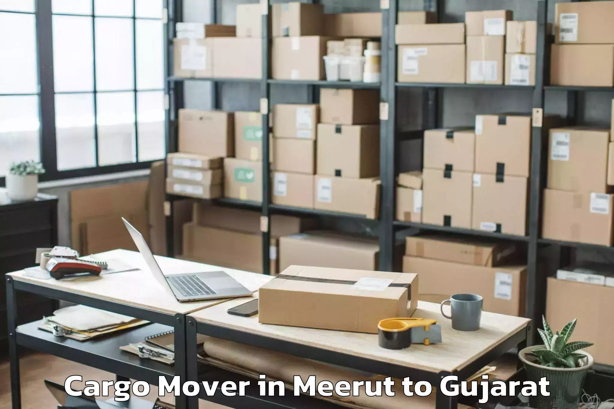 Leading Meerut to Surendranagar Cargo Mover Provider